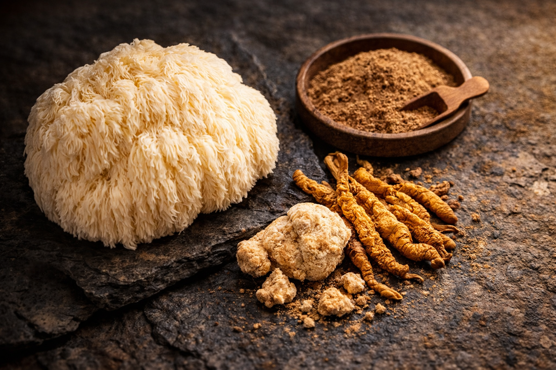 How Lion's Mane and Cordyceps Work Together for Focus